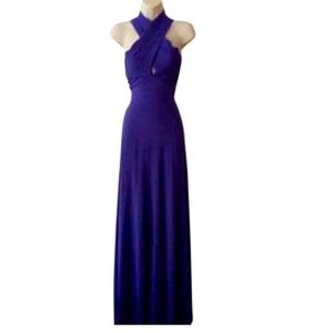 BCBG Persian Blue Gown